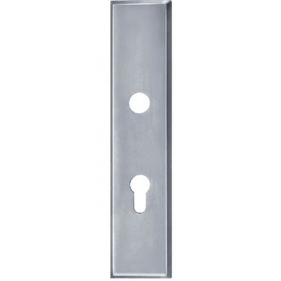 Stainless Steel Handle Plate